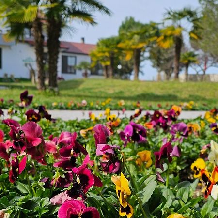 Green Park Дів'яка Екстер'єр фото