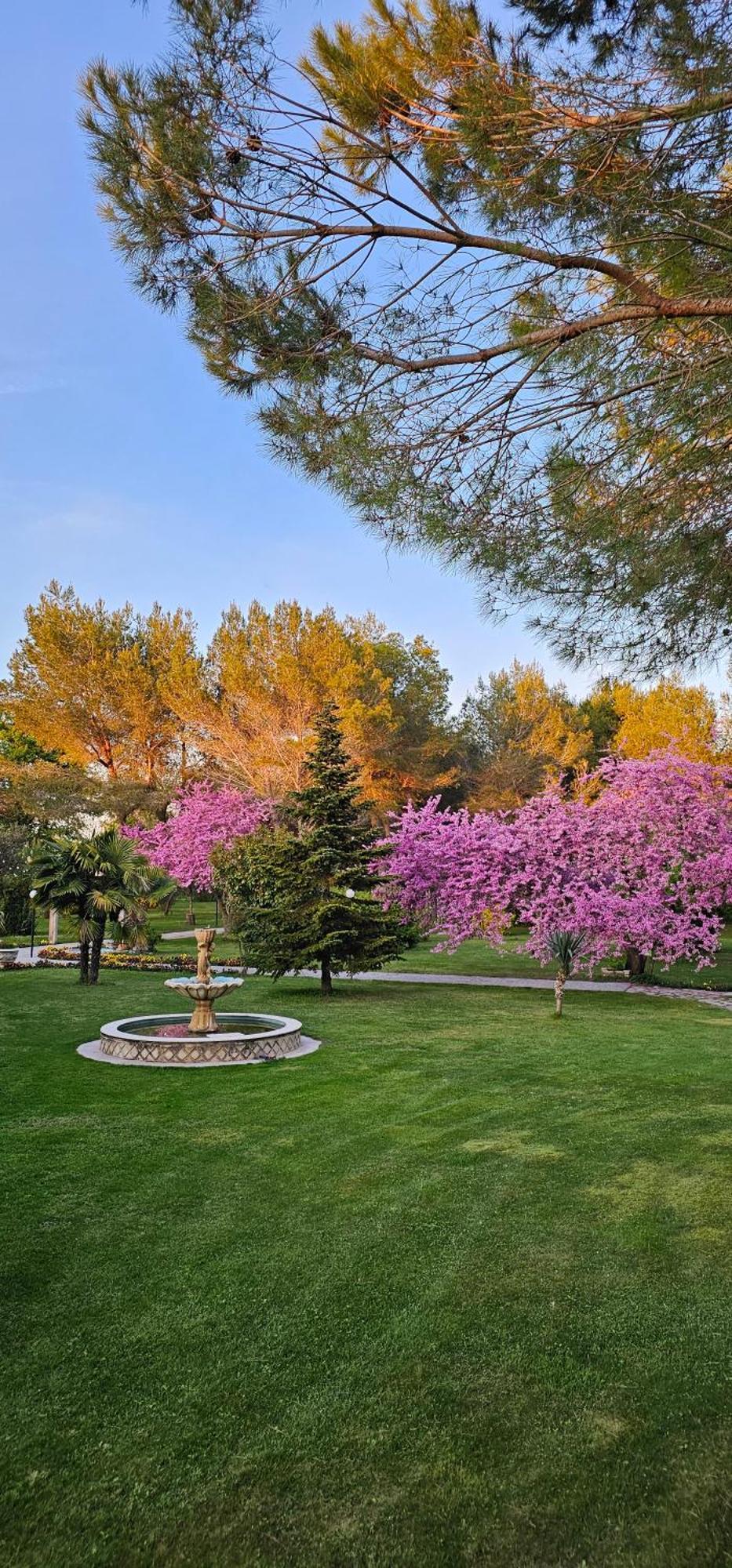 Green Park Дів'яка Екстер'єр фото
