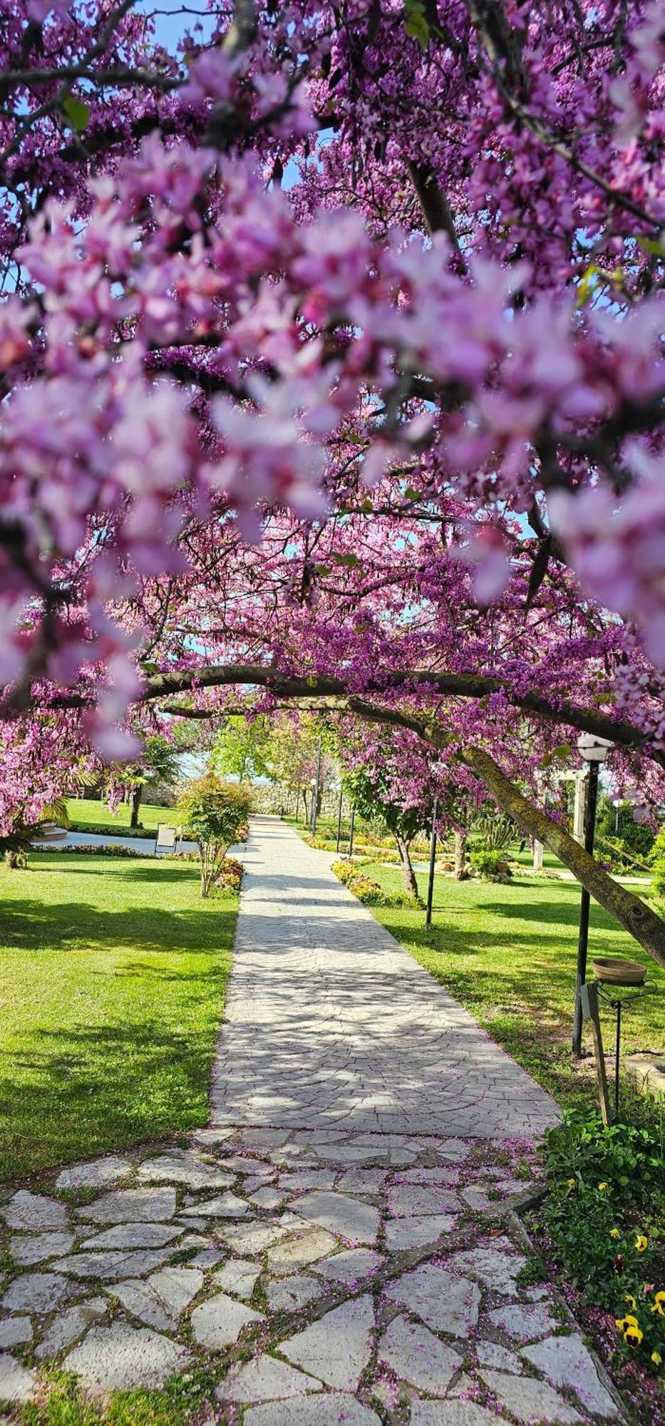 Green Park Дів'яка Екстер'єр фото